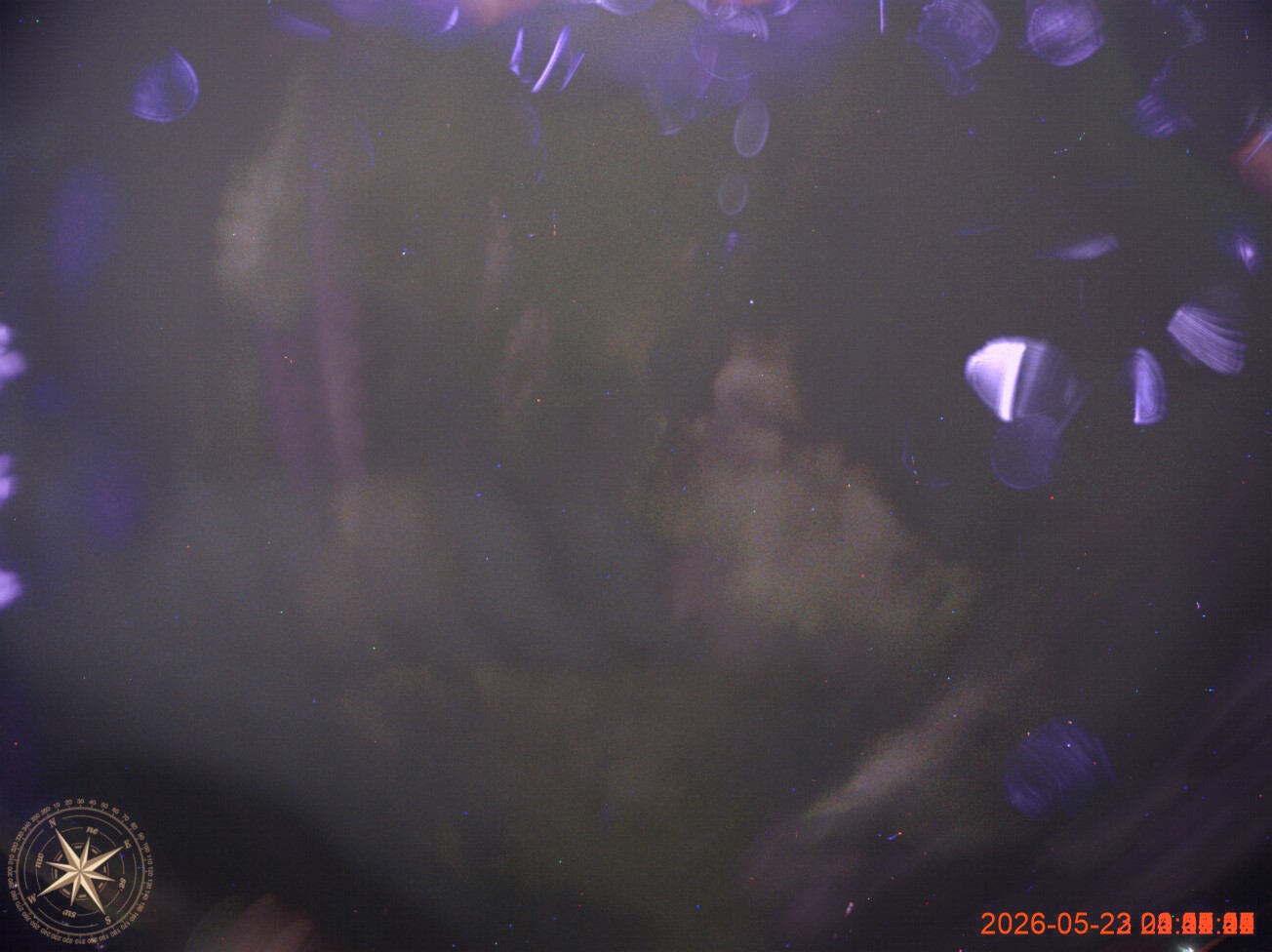 2026-05-22