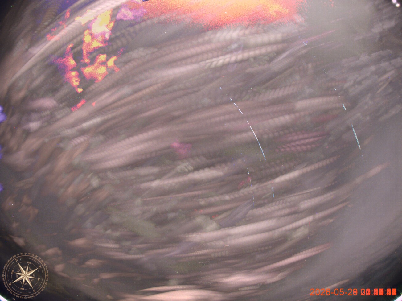 2026-05-28